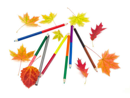 Several colored pencils and a few red and yellow autumn leaves on a light background.の写真素材