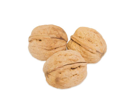 Three ripe walnuts in hard shell closeup on a white background. Isolation.の写真素材