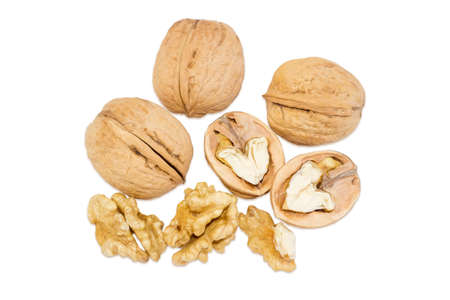 Three ripe whole walnuts in shell, one walnut splited in half and several nut kernels closeup on a white background. Isolation.の写真素材