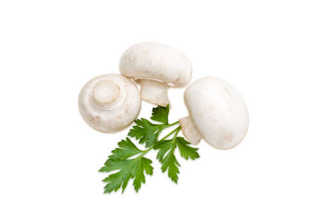 Three uncooked champignon mushroom and one  leaf of fresh parsley closeup on a light background. Isolationの写真素材