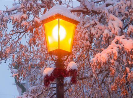 Street lamp on background of branches under snow during a heavy snowfall in winter eventideの写真素材