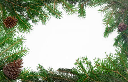 Fir branches with cones, laid out on the perimeter, as a frame with empty center part on a light backgroundの写真素材
