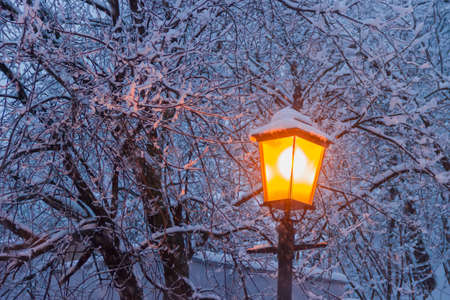 Street lamp on background of branches under snow during a heavy snowfall in winter eventideの写真素材