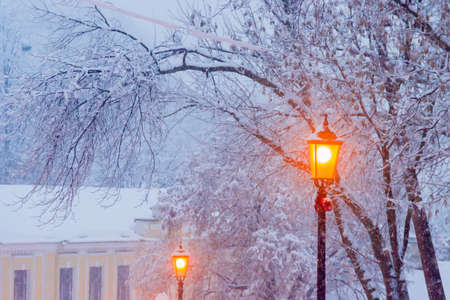 Street lamp on background of branches under snow during a heavy snowfall in winter eventideの写真素材