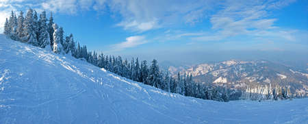 Panorama of ski piste on the background of spruce forest covered with a thick layer of snow, mountain ranges and sky with clouds in winter eveningの写真素材