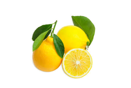 Two fresh yellow lemons with twigs and leaves and one cut lemon on a light backgroundの写真素材