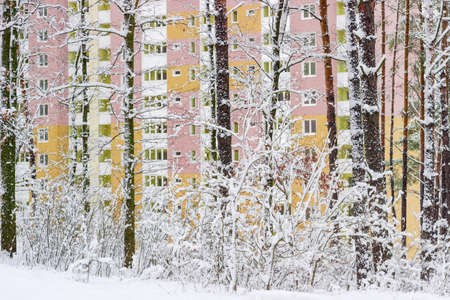 View on the modern highrise apartment building through snowy forest cloudy dayの写真素材