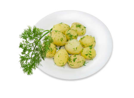 Boiled whole young potatoes of early ripening with butter, sprinkle with chopped dill on a white dish and a sprig of dill separately on a light backgroundの写真素材