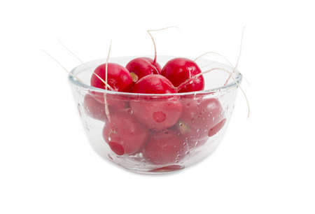 Fresh washed red radish in transparent glass bowl on a light backgroundの写真素材
