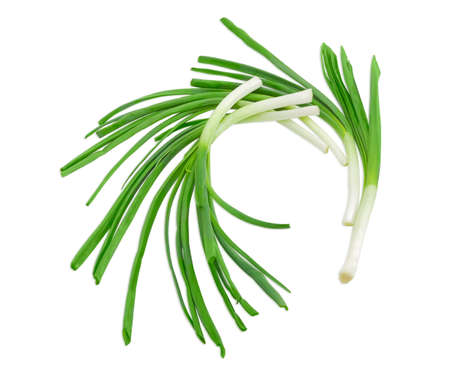 Several stalks of a green onion on a light backgroundの写真素材