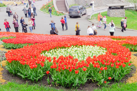 Kiev, Ukraine - April 23, 2016: Flower bed of red and white tulips on the background of the track with the visitors of tulips exhibition. Kiev, Ukraine.のeditorial素材