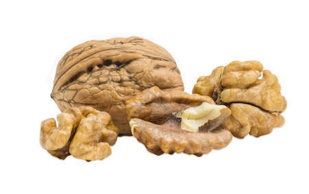 One walnut in their shell and several shelled kernels closeup on a light backgroundの写真素材