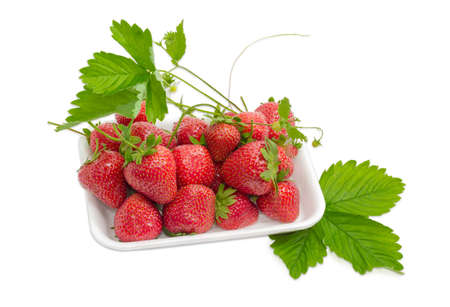 Ripe fresh garden strawberry fruits with leaves, stems and flowers in the plastic tray on a light backgroundの写真素材