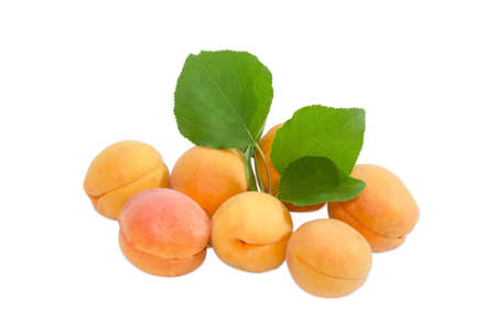 Several fresh ripe apricots and small branch with leaves on a light background closeupの写真素材