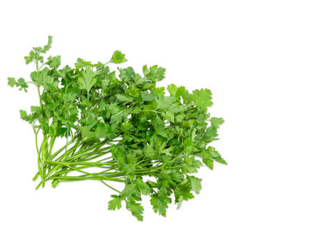Bunch of fresh green parsley lined at the bottom left of the frame on a light backgroundの写真素材
