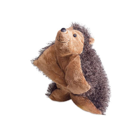 Travel pillow hedgehog shaped, which rolled up and buttoned on a light backgroundの写真素材