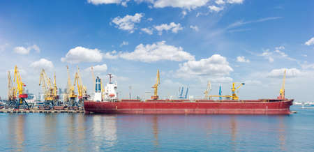Panorama of berth of a sea cargo port with ship, standing at unloading and different harbor cranesの写真素材