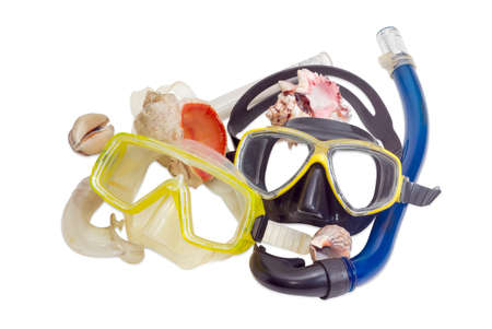 Two different diving masks with snorkels and several different sea shells on a light backgroundの写真素材