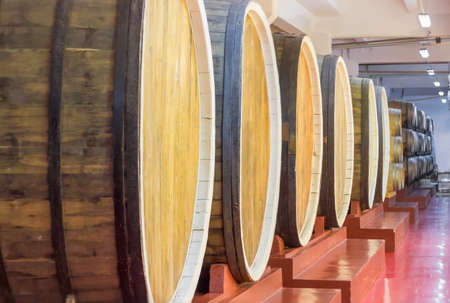 Row of several big oak wine barrels