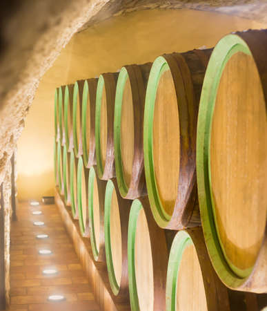 Fragment of underground wine cellar with several rows oak wine barrels