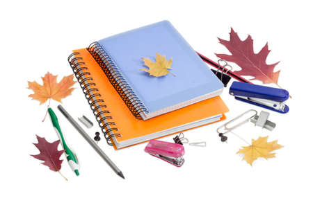 Two paper notebooks with yellow and blue cover and spiral binding, ball pen, pencils, other stationery and a few autumn leaves on a light background.の写真素材