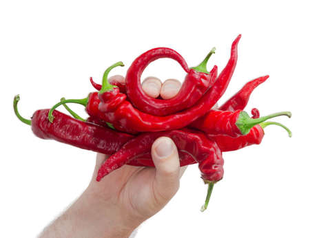 Several fresh red peppers chili in a male hand on a light backgroundの写真素材