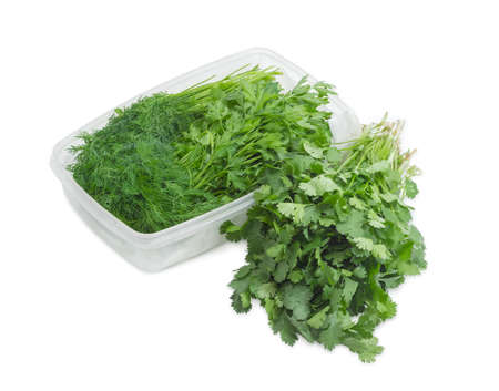 Bundles of dill, coriander and parsley on a light backgroundの写真素材
