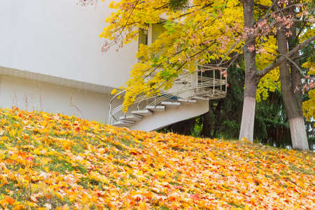 Lawn with fallen leaves on a background of trees and the part of building with a spiral stairs in cloudy dayの写真素材
