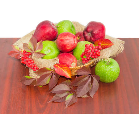 Several red and green apples on a sackcloth in a small wicker basket , bunches of rowan and branch of ivy on a dark wooden surface on a light backgroundの写真素材
