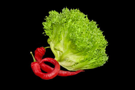 Head of fresh green lettuce with a loose arrangement of leaves and two red chili pepper on a dark backgroundの写真素材