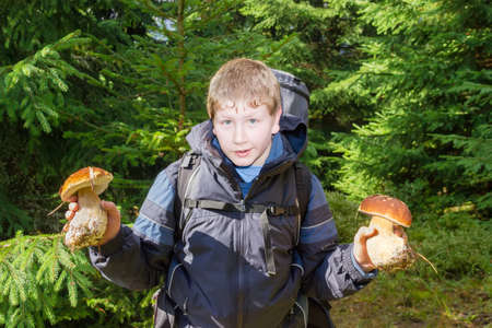 Young tourist with a backpack hold in hands two fresh Boletus edulis in a spruce forestの写真素材
