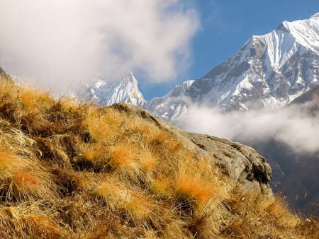 Mountain range with peaks covered with hanging glaciers partly shrouded in clouds with a mountain slope covered with the withered grass in the foreground in the Himalayasの写真素材
