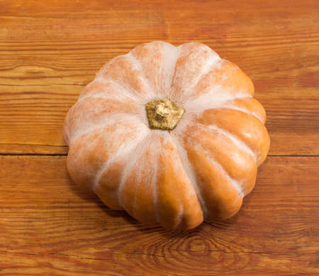 Pumpkin on a surface of old wooden planksの写真素材