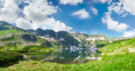 Panorama of the mountain lake with coasts overgrown with grass and mountain pine on the background...