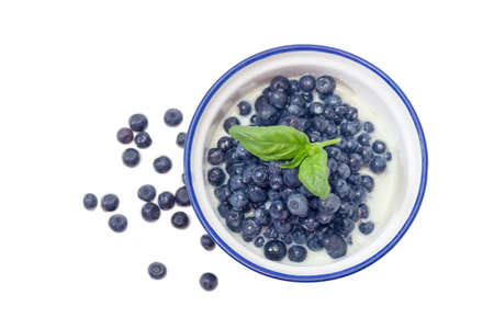 Top view of the blue bowl with dessert made of the fresh blueberries and sweetened condensed milk decorated with basil leaf against of several berries beside on a white backgroundの写真素材