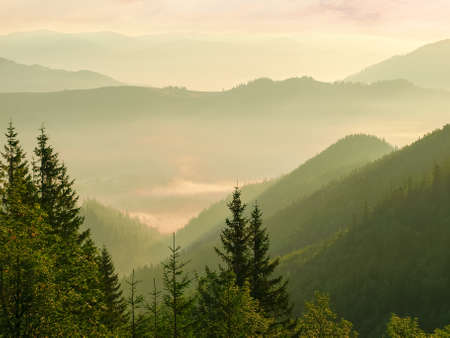 Mountain ranges and valley filled  with fog with trees in the foreground at sunriseの写真素材