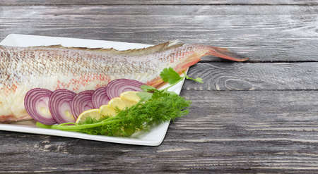 Fragment of the large square dish with uncooked red cod, sliced lemon and red onion, twigs of the dill and cilantro at shallow depth of field on an old rustic wooden tableの写真素材