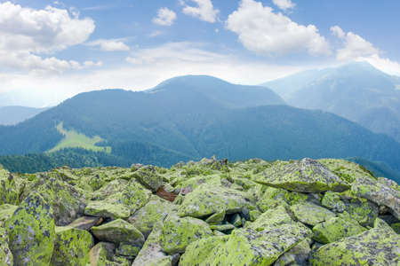 Placer of large stones covered with green lichens on mountain range on the background of slopes with spruce forests in Carpathian Mountains at summer day
の写真素材
