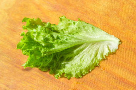 One leaf of the green lettuce on a big wooden cutting board at selective focusの写真素材