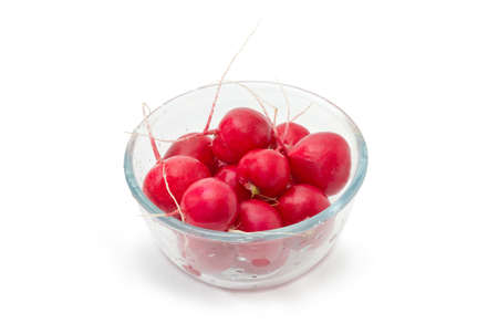Fresh washed red round radishes without haulm in the transparent glass bowl on a white backgroundの写真素材