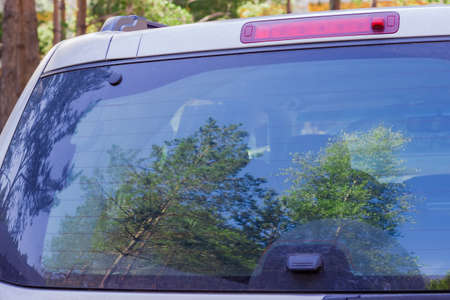 Fragment of the back of the modern car with brake lights and blurred reflection of the coniferous and deciduous trees in rear window 
の写真素材