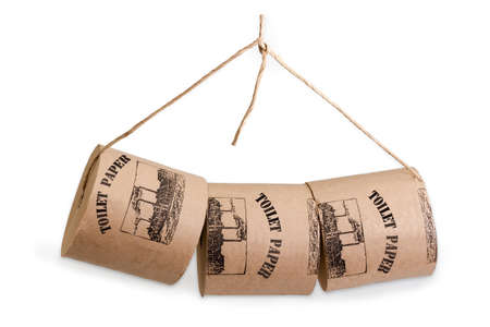 Bundle of rolls of gray toilet paper in retro style on twine on a white background
の写真素材