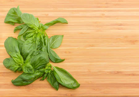 Several twigs of fresh green basil located left on the bamboo cutting board
の写真素材