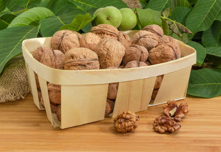 Ripe whole not husked walnuts in wooden basket and husked nut kernels beside on a wooden surface on...