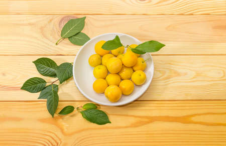 Yellow cherry plums on a white saucer and leaves on a light colored wooden surfaceの写真素材