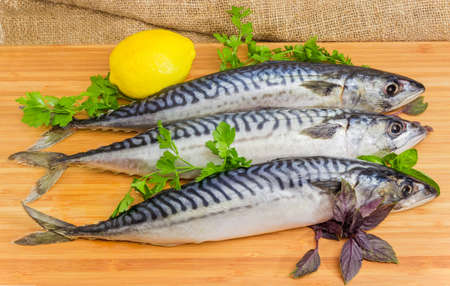 Three uncooked Atlantic mackerel with lemon and twigs of fresh parsley and basil on a wooden bamboo cutting boardの写真素材
