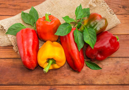 Ripe varicolored bell peppers with twigs and leaves of pepper plant on a burlap and dark colored...