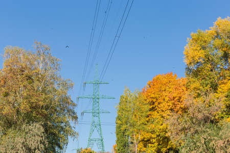 Steel lattice transmission tower of overhead power line among of the autumn forest on background of...