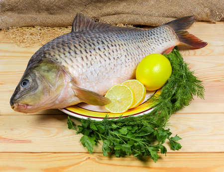 Raw gutted carp with peeled scales and prepared for its cooking and partly sliced lemons on big dish, greens on a light colored wooden rustic tableの写真素材
