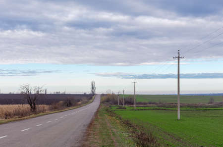 Rural asphalt road among the agricultural grounds, field of the shoots of winter wheat on a foreground, power line in cloudy morning at late autumnの写真素材